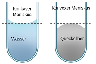 Vergleich eines konkaven und eines konvexen Meniskus