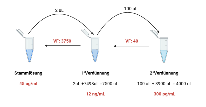 Gelöstes Schema der zweistufigen Verdünnung: Stammlösung 45 µg/mL, nach der 1. Verdünnung (VF 3750) 12 ng/mL, nach der 2. Verdünnung (VF 40) 300 pg/mL