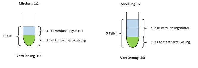 Schema, das eine 1:2-Verdünnung einer 1:2-Mischung gegenüberstellt