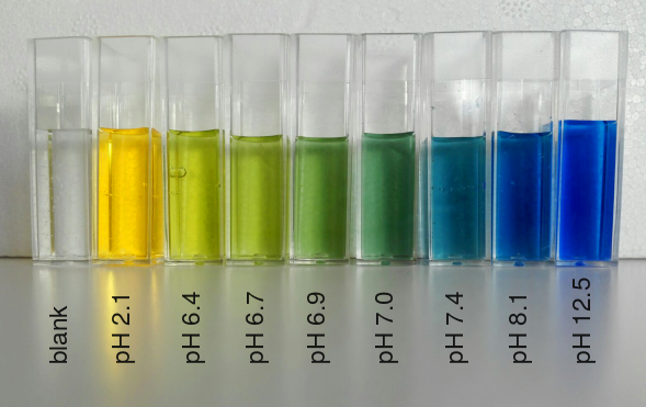 Reihe von Reagenzgläsern mit Bromthymolblau, deren Farbe von Gelb über Grün nach Blau wechselt